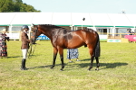 SBM_10799