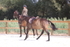 20260802-0725