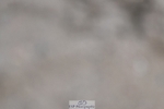 250125-135911-00751