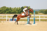 SBM_000261