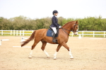 SBM_007435