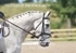 JAC_5692