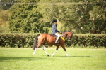 SBM_42398