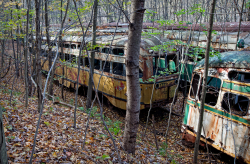 Trolley Graveyard | Hillside View