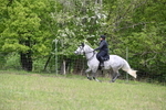 WJ6_1663