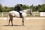 SBM_003953