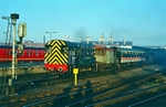 25th Nov 1989