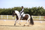 SBM_008636