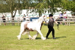 SBM_08656