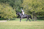 WJ6_2365
