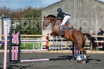 Senior Showjumping_10-11-2019-47