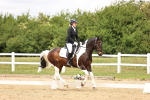 SBM_002950