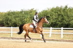 SBM_009399