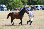 WJ6_8566