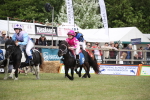 SBM_09980