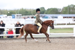 SBM_01486