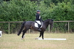 WJ6_2734