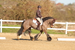 SBM_003462