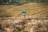 Dockray Hartside-267