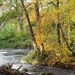 Autumn on the Erme