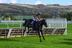 241025-Race 1-Stoners Choice-2113