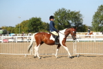 SBM_02179