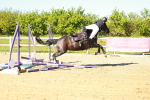 SBM_002105