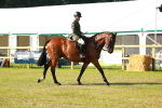 SBM_10825