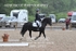 BPP_9782