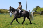3E7A9560
