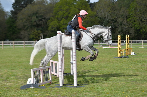 NGP_7070