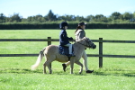 SBM_36732