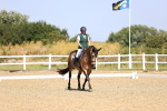 SBM_009499