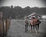Haleys Horse_030