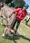 Donkey Derby_2016-12