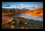 Fells On Fire