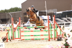 SBM_003708
