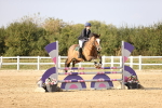 SBM_03913