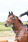 BPP_1499