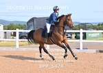 BPP_6424