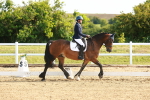 SBM_007034