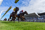 040526-Race 4-Alfa Duplicate-7506