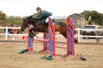 SBM_024413