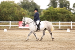 SBM_000978