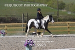 BPP_9923