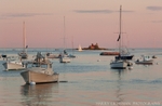 Dusk Pepperrell Cove