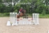 BPP_9454