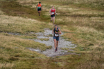 Sedbergh Hills-455