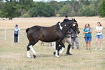 WJ6_6362
