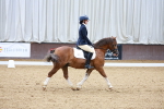 SBM_000878